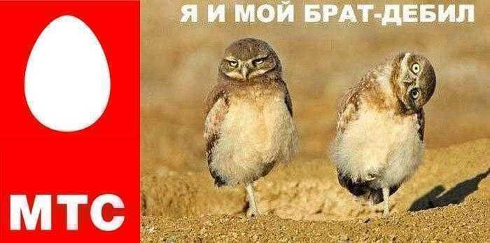 Интернет и дебилизация, идиотизм