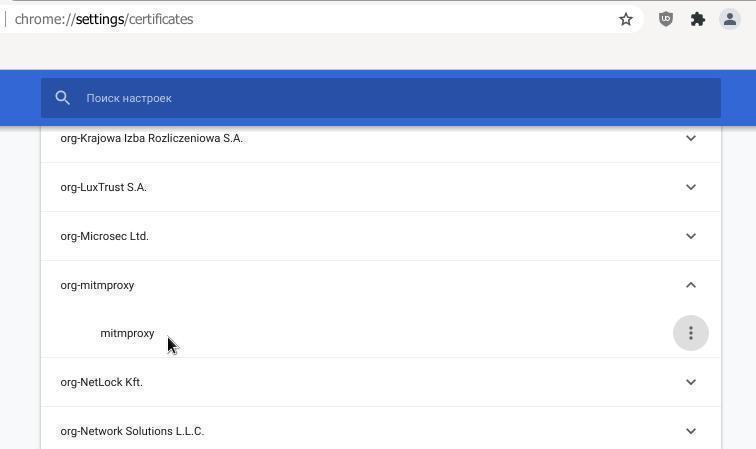 mitmproxy-ca-cert-in-chrome_6.jpg