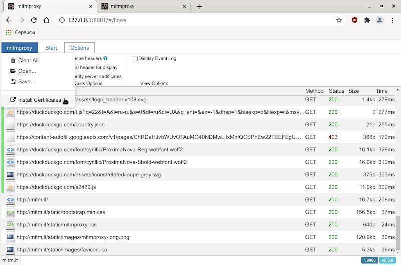 mitmproxy-web-server_2.jpg
