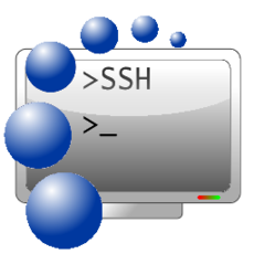 ssh-logo1.png