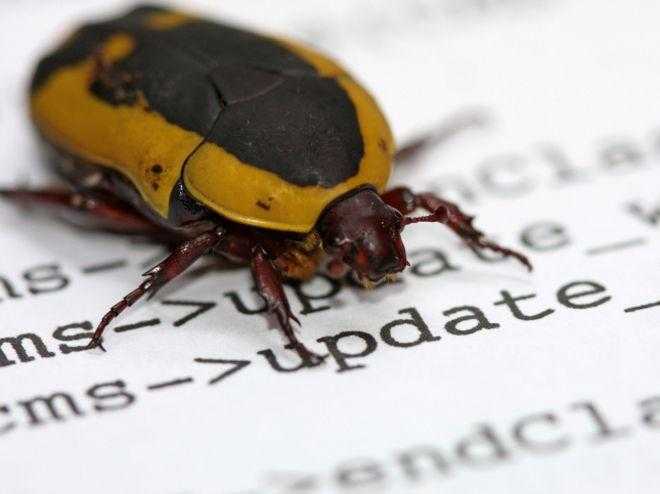 update-bug