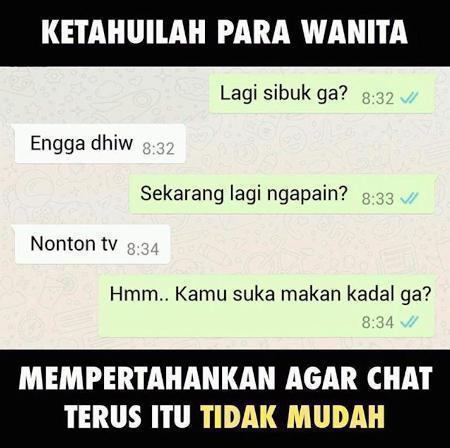 chat-agar.jpg