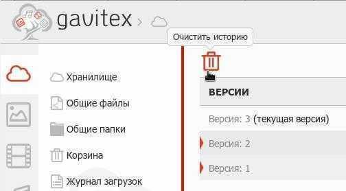 gavitex-storage-file-history_3