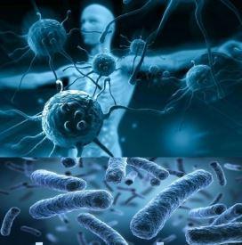 neural-net_1.jpg