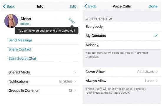 Telegram-Calls-1-770x505.jpg
