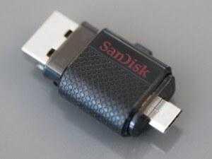 flesh-sandisk