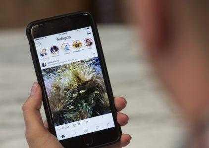 В Instagram теперь можно искать «Истории» по хэштегам и геоданным