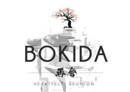 Bokida – Heartfelt Reunion: левая рука тьмы…