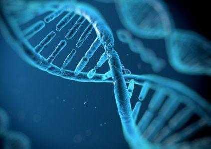 Microsoft планирует создать коммерческий прототип облачного ДНК-хранилища до 2020 года