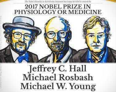 Нобелевскую премию по физиологии и медицине дали за исследование биологических часов