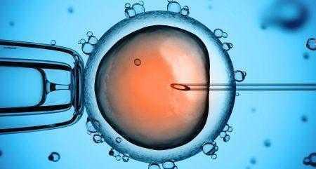 СRISPR-Cas9: В США ученые удалили из ДНК человеческого эмбриона ген, отвечающий за заболевание сердца
