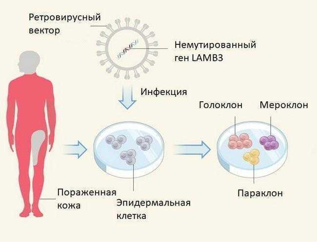 https://hi-news.ru/wp-content/uploads/2017/11/skin-2.jpg