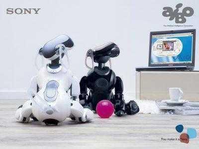 Sony планирует возродить линейку домашних роботов AIBO, добавив им искусственный интеллект и голосовые возможности, как у Amazon Echo и Google Home