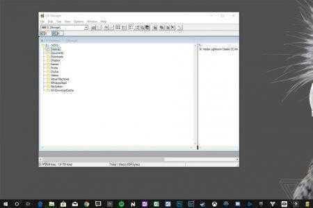 На GitHub выложили исходные коды оригинального файлового менеджера Windows File Manager, выпущенного 28 лет назад