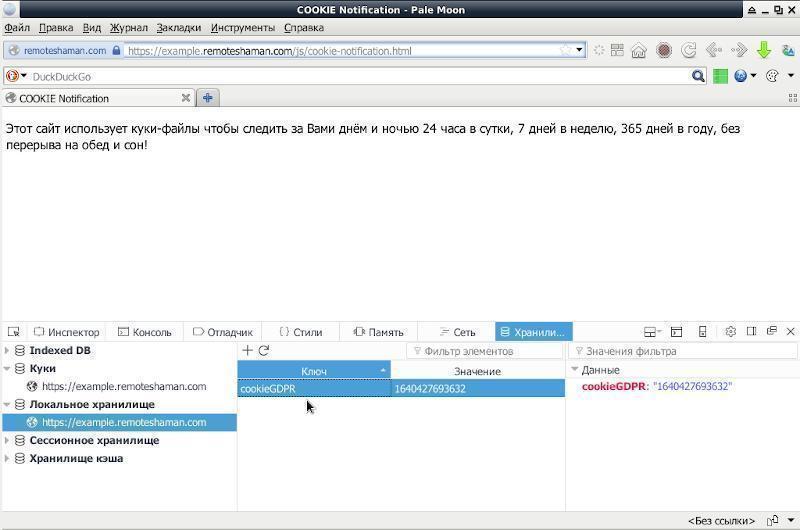 palemoon-view-local-storage.jpg